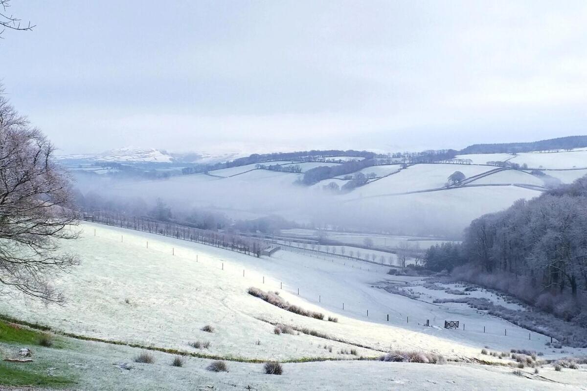 Lobhill Farmhouse Bed And Breakfast And Self Catering Accommodation Okehampton Phòng bức ảnh