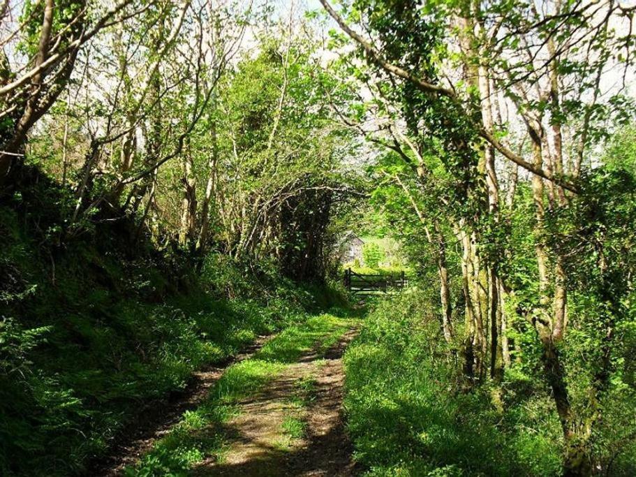 Lobhill Farmhouse Bed And Breakfast And Self Catering Accommodation Okehampton Phòng bức ảnh